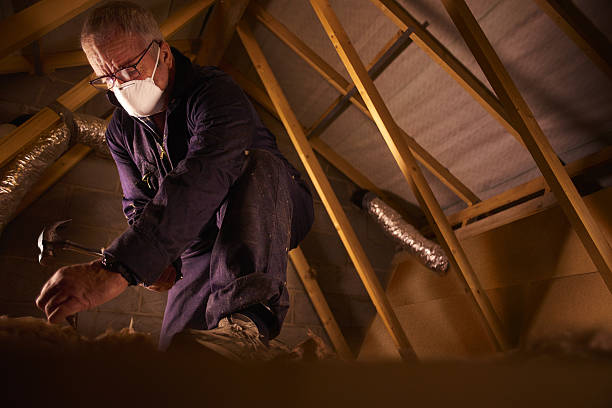 Best Eco-Friendly Insulation in Wise, VA